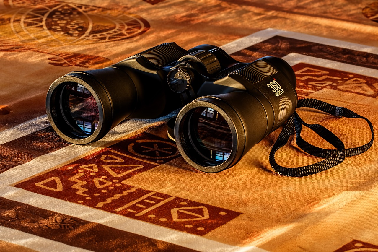 What Is a Good Brand of Binoculars?