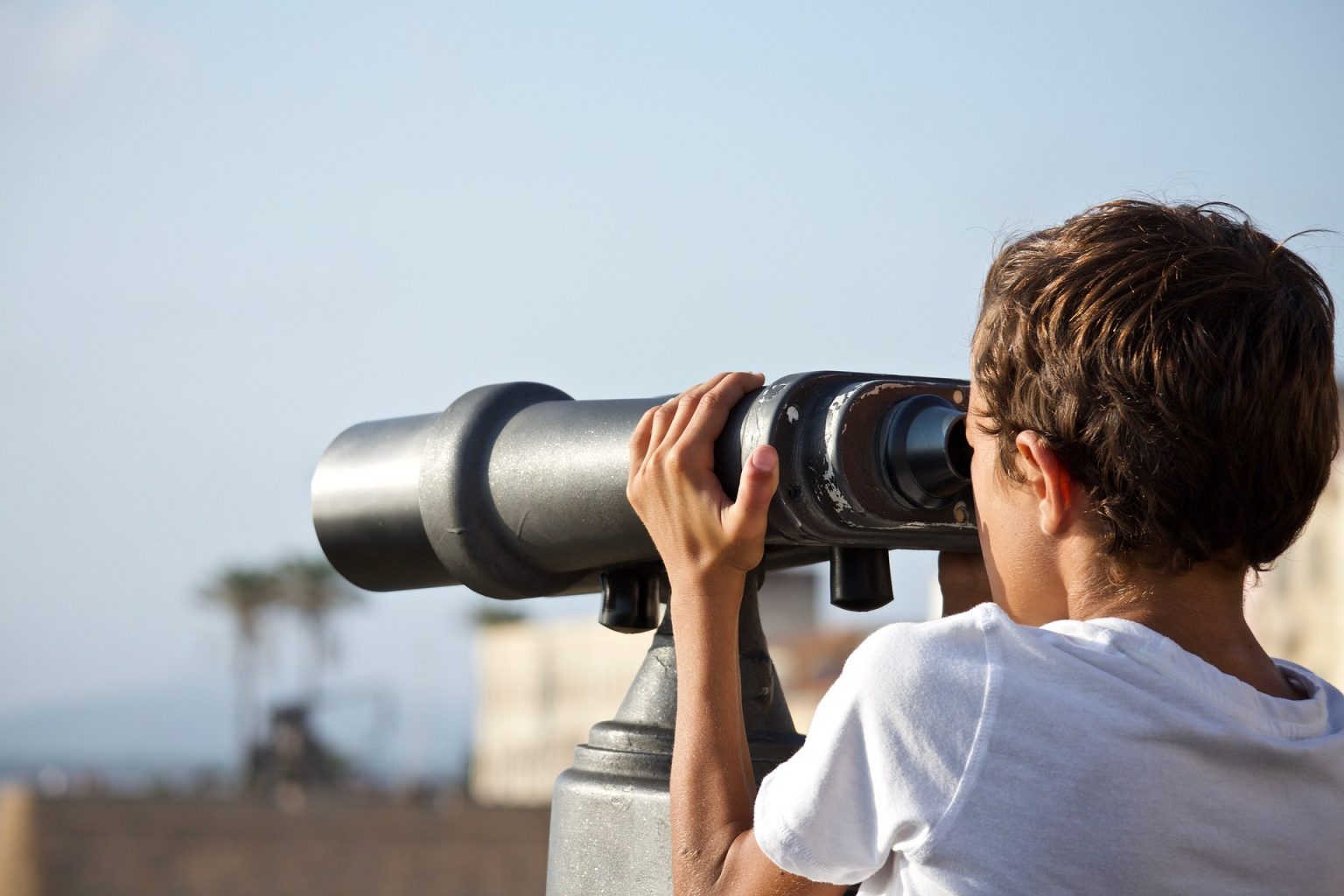 why-are-swarovski-binoculars-so-expensive-jun-2023-here-s-everything