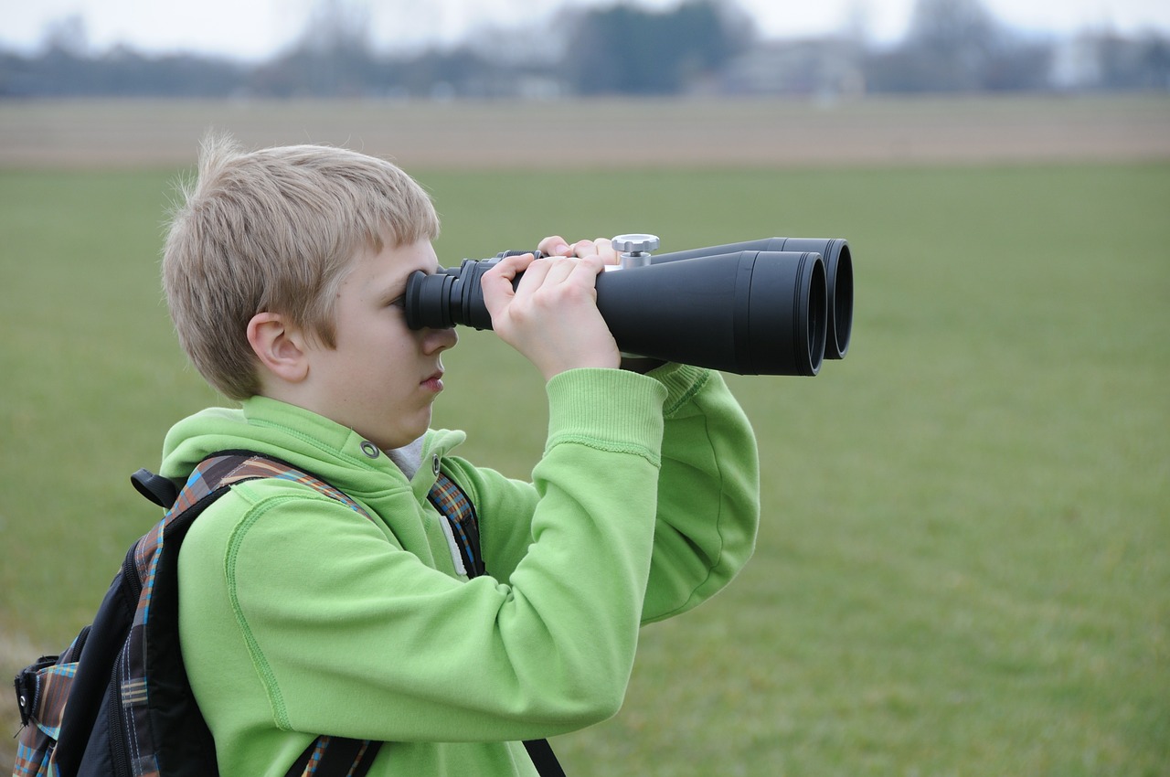 which is better 10x50 or 12x50 binoculars