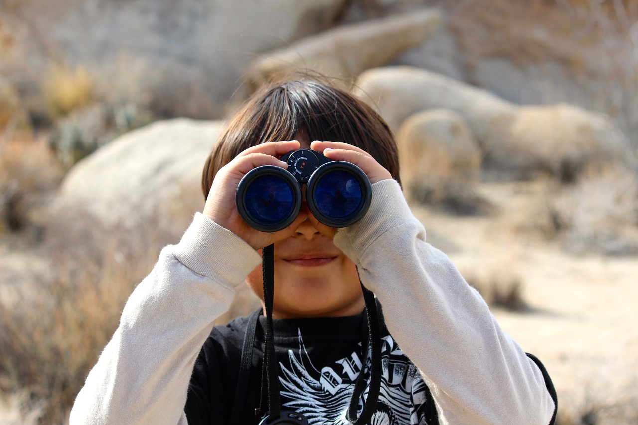 Binoculars for Safari