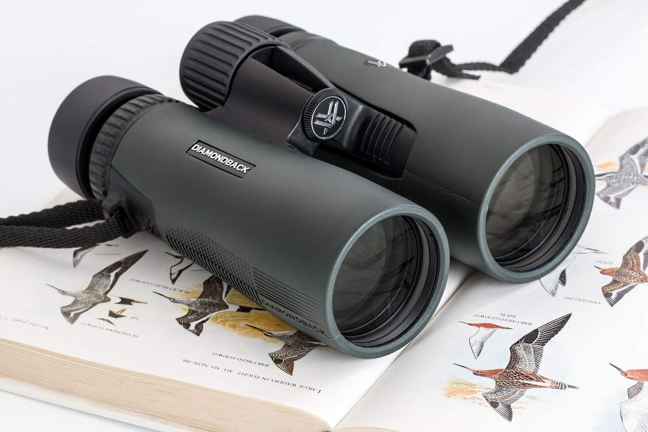 What are Bushnell 7x50 Rangefinder Binoculars?