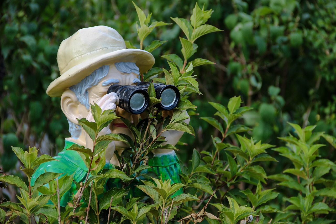 How Much Are Bushnell Binoculars Worth?