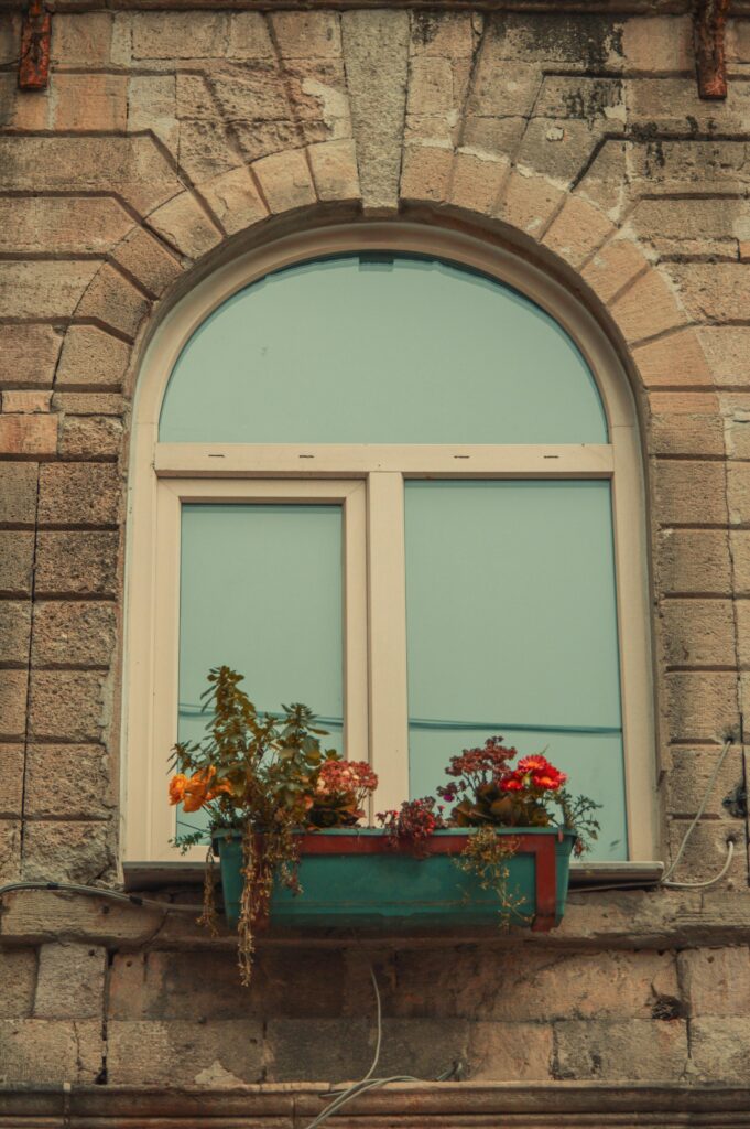  planting options for shallow outdoor planter 