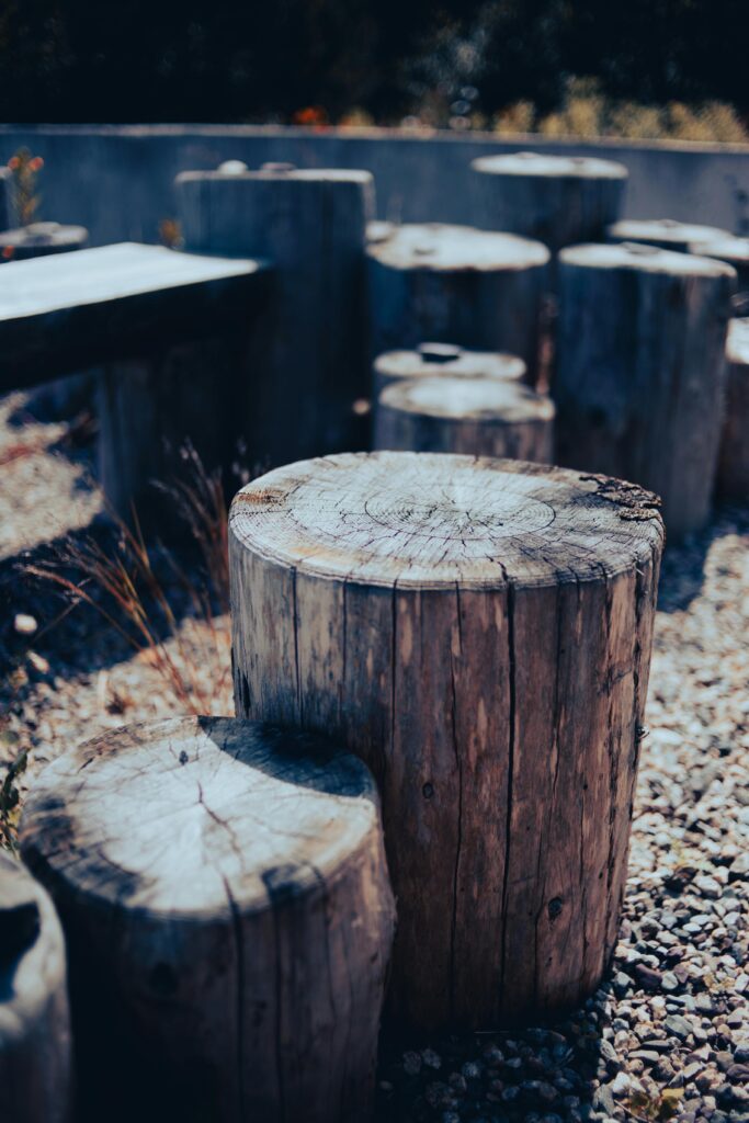 seal wood stumps for outdoor use