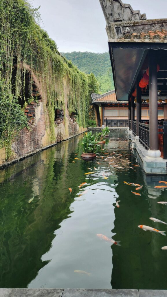 Kind of Fish Can Live in an Outdoor Pond