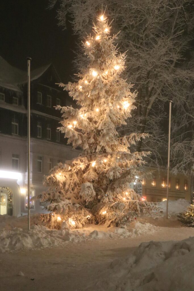 putting lights on large outdoor tree