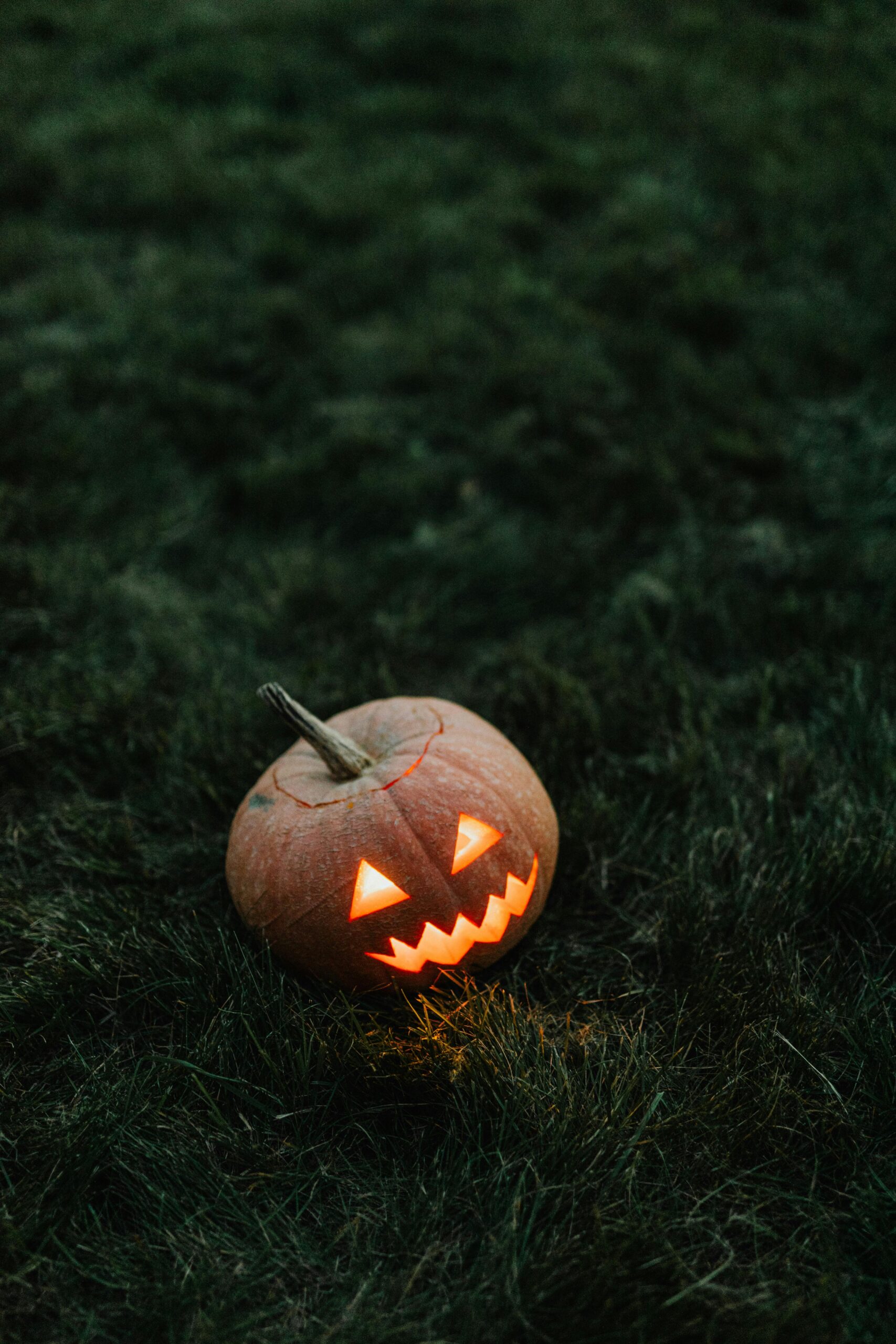 best outdoor decorations for Halloween