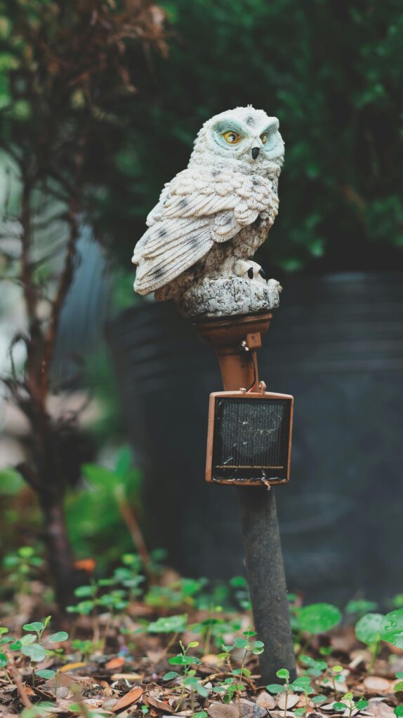 best outdoor solar lights to buy in 2026