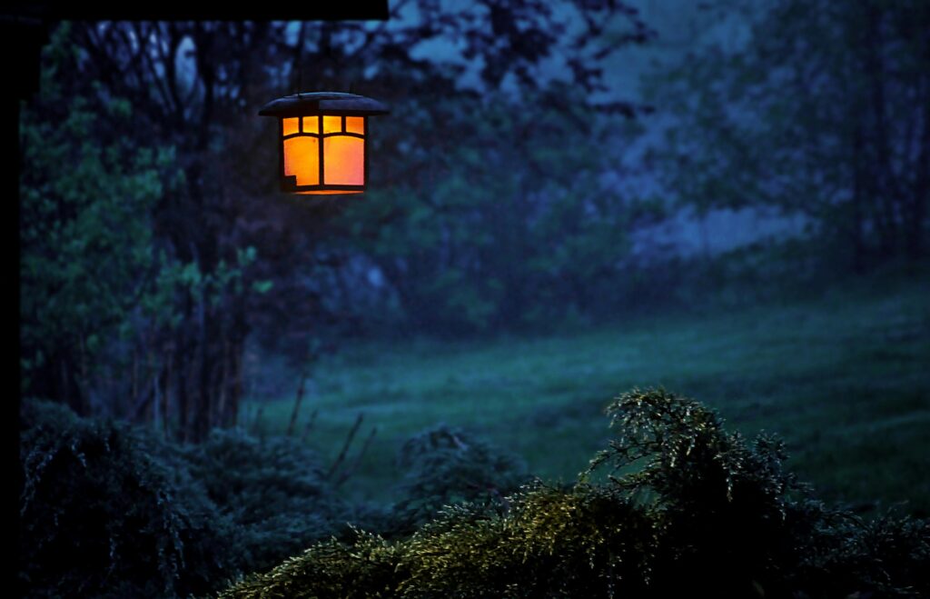 best outdoor lights for house to buy in 2026