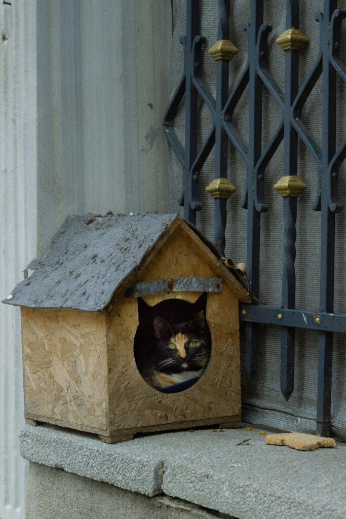 2026 best outdoor cat house