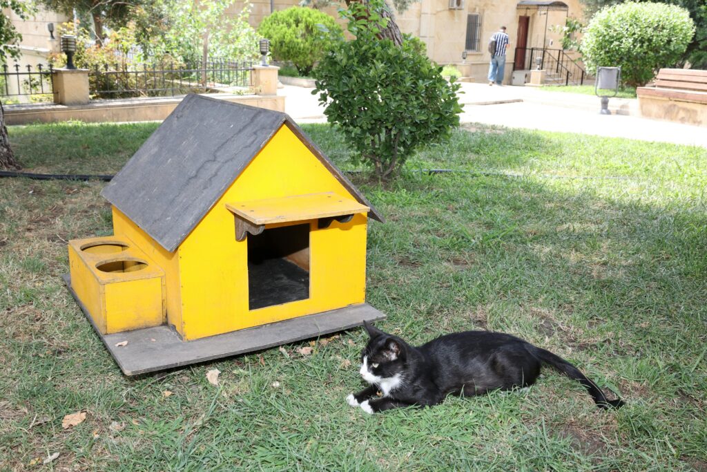 best outdoor cat house to buy for winter 2026