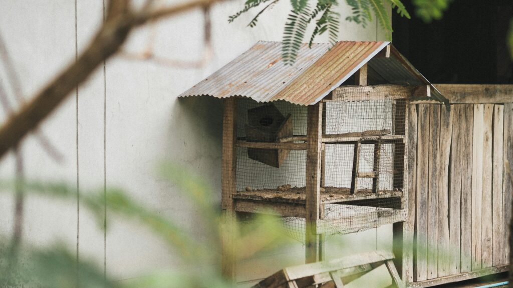 best outdoor cat house to buy