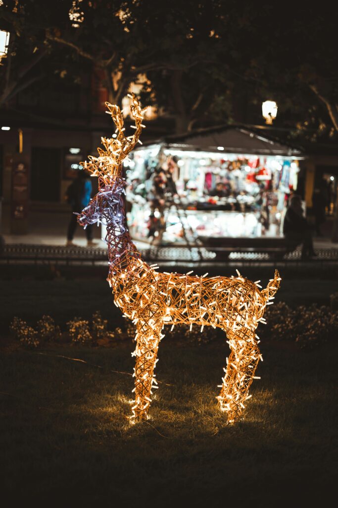 best outdoor Christmas decorations to install