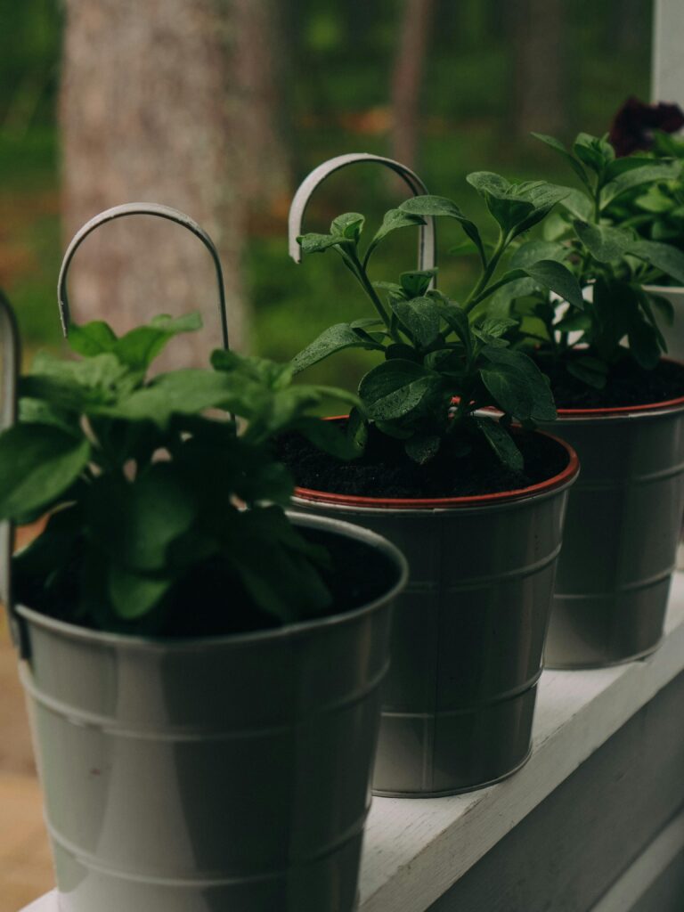 best outdoor planter pots to buy