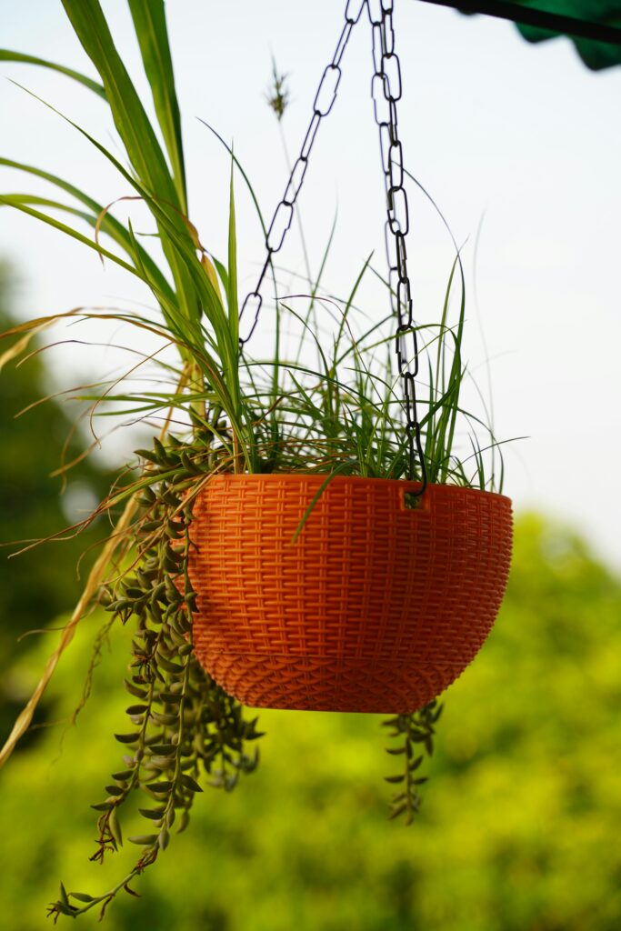 best outdoor planter pots to have