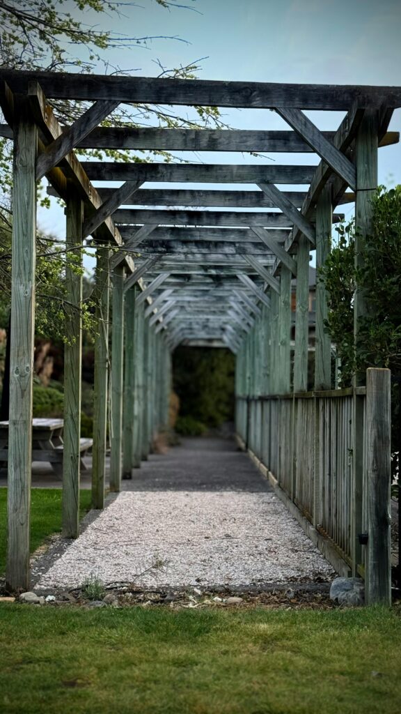 best pergola for outdoor